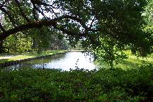 gardens