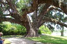 gardens