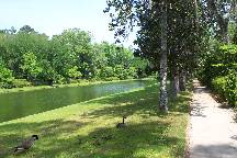 gardens