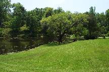 gardens
