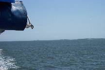 Fort Sumter cruise