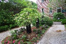 Charleston
