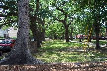 Charleston