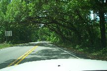 Charleston to Savannah