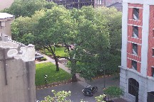 Savannah