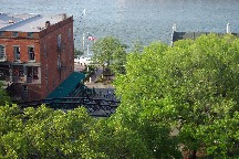 Savannah