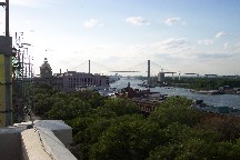 Savannah