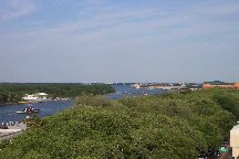 Savannah