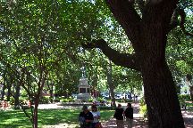 Savannah