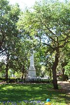 Savannah