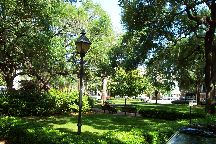 Savannah