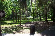 Savannah