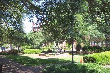 Savannah
