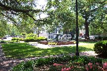 Savannah