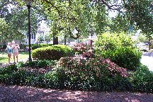 Savannah