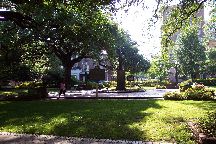 Savannah