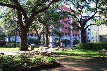 Savannah