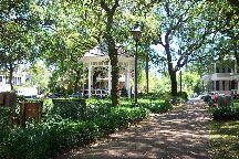 Savannah