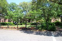Savannah