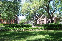 Savannah