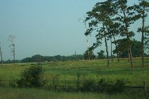 Highway 62