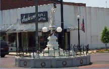 Boll Weevil