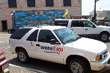 Boll Weevil