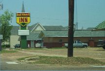 Boll Weevil