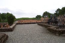 Forbidden Gardens
