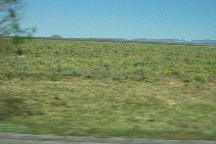 New Mexico