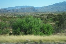 Arizona