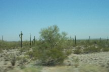 Arizona
