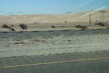dunes