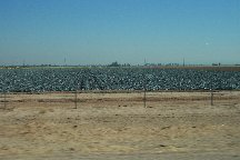 farmland