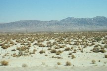 desert