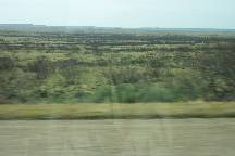 waste land