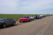 Mustang car club