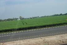farm and pasture land