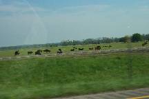 farm and pasture land