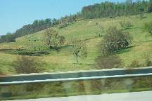 hilly