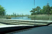 wetlands