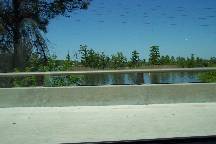 wetlands